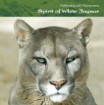 Spirit of White Jaguar